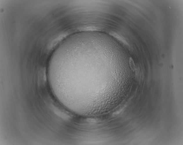 X0000070430302200606231925