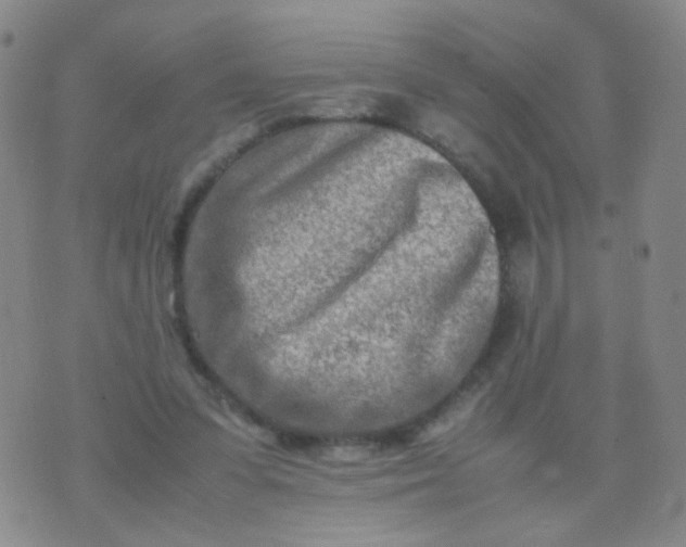 X0000070430303200606231925