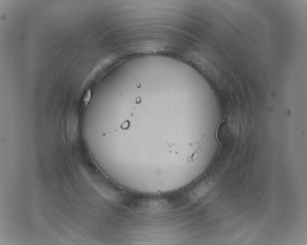 X0000070430304200606231925