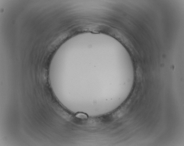 X0000070430305200606231925