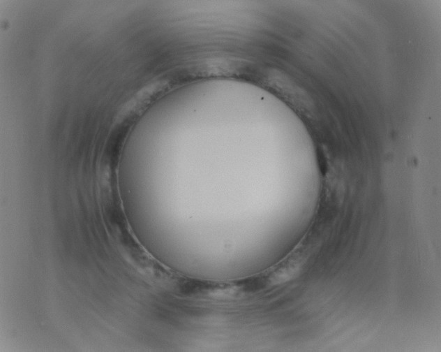 X0000070430306200606231925