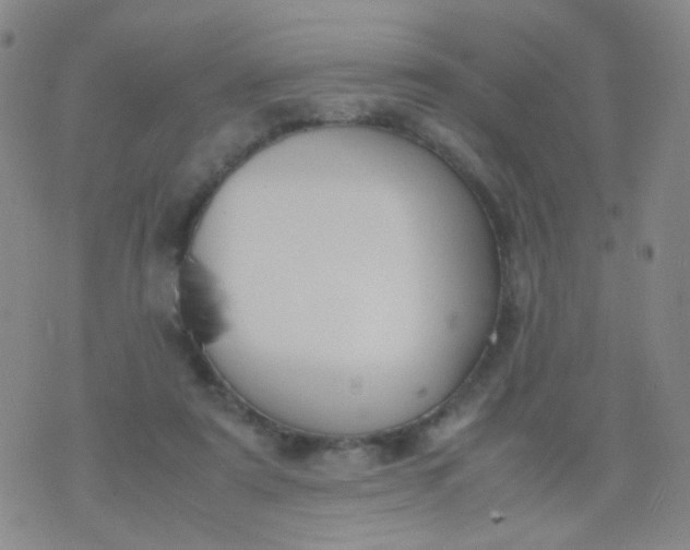 X0000070430307200606231925