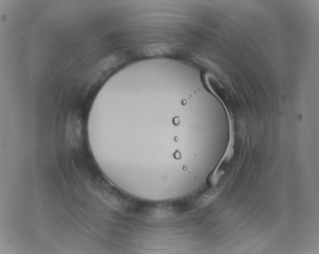 X0000070430308200606231925