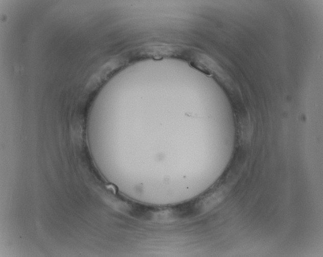 X0000070430309200606231924