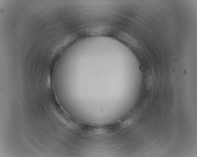 X0000070430310200606231924