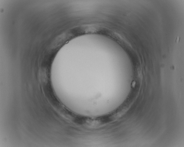 X0000070430311200606231924