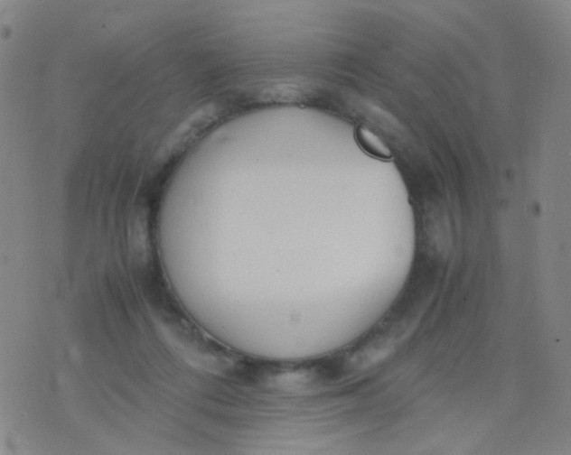 X0000070430312200606231924