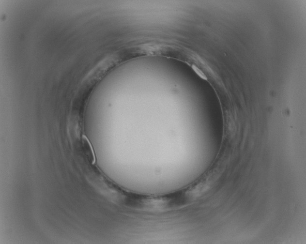 X0000070430313200606231924