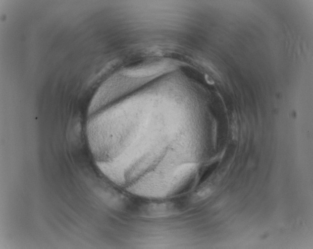 X0000070430314200606231924