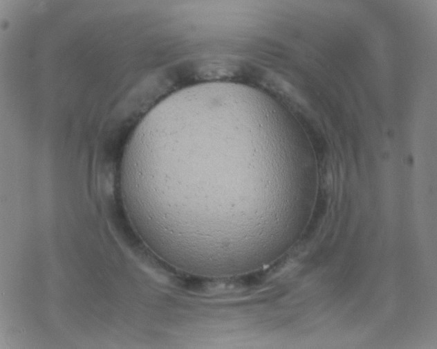 X0000070430315200606231924