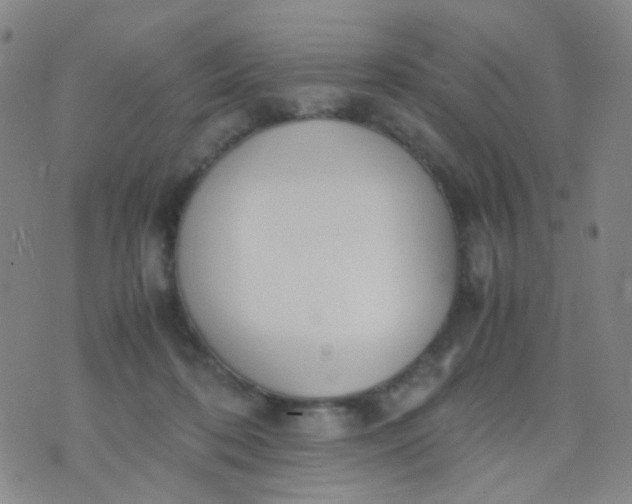 X0000070430316200606231924