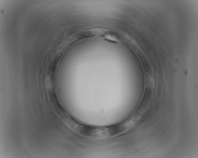 X0000070430317200606231924