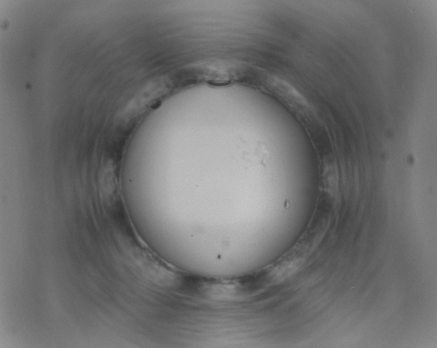 X0000070430318200606231924