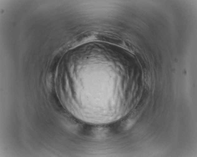 X0000070430319200606231924