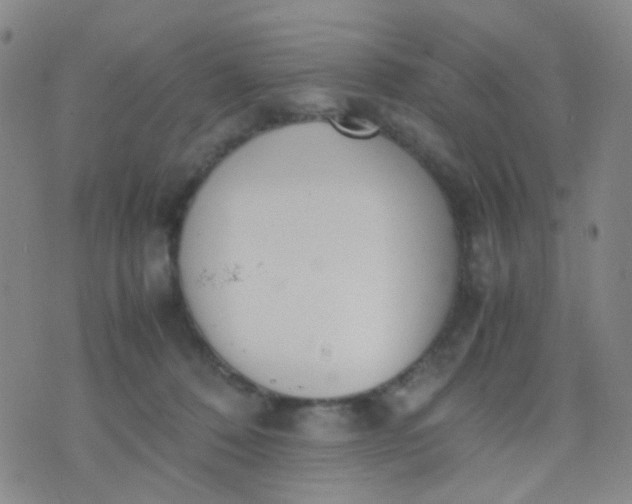 X0000070430320200606231924