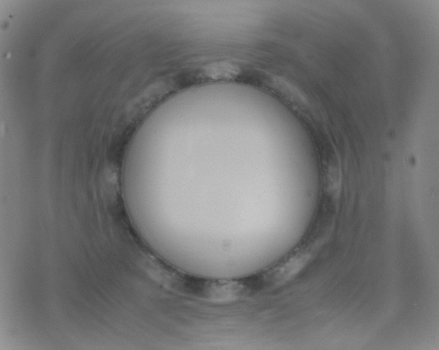 X0000070430321200606231924