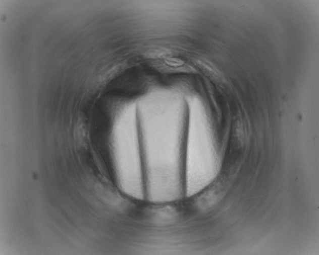 X0000070430322200606231924