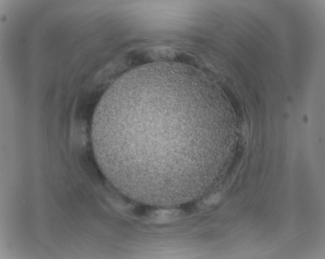 X0000070430323200606231924