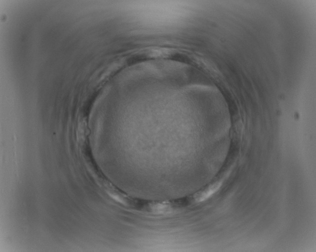 X0000070430325200606231924