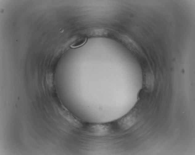 X0000070430326200606231924