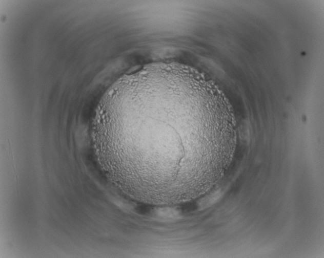 X0000070430327200606231924