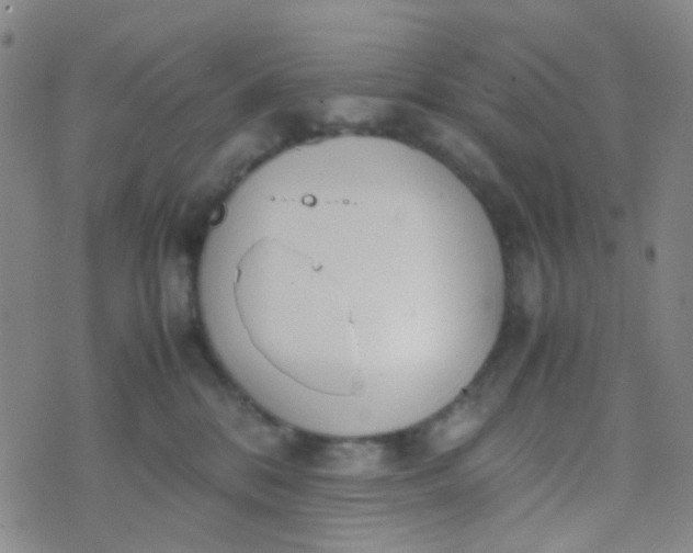 X0000070430328200606231924