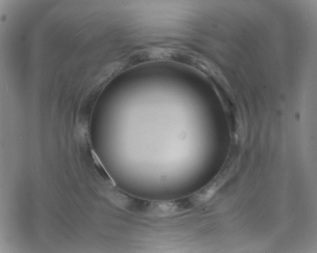 X0000070430329200606231924