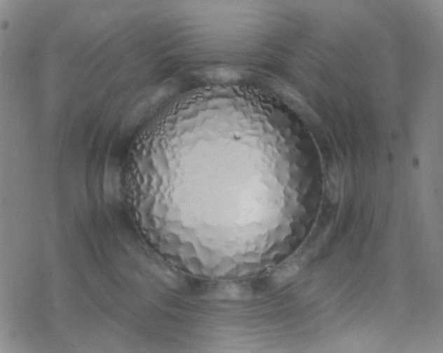 X0000070430330200606231924