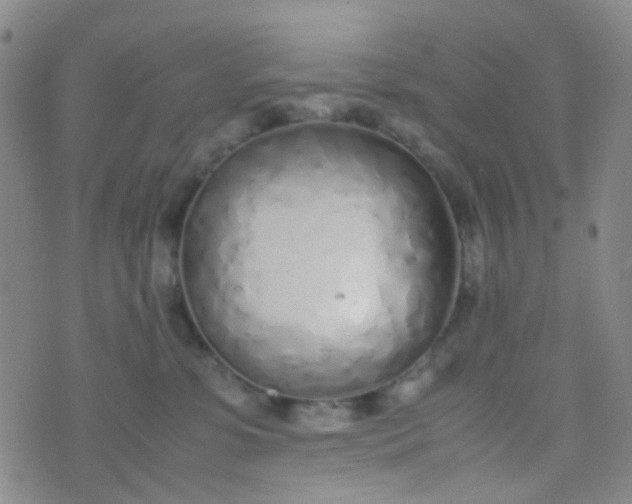 X0000070430331200606231924