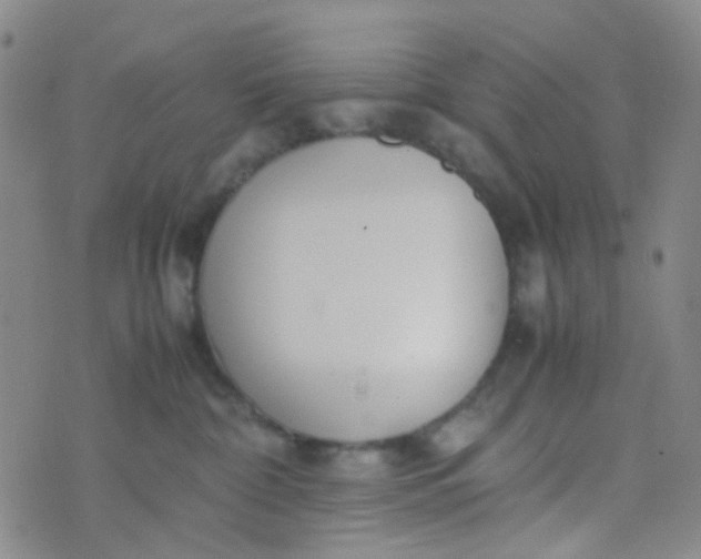 X0000070430332200606231924