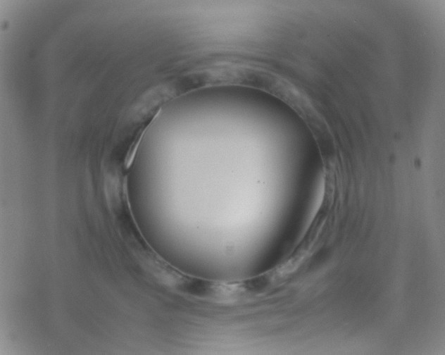 X0000070430333200606231924