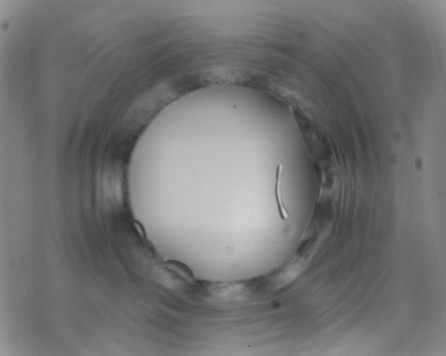 X0000070430334200606231924