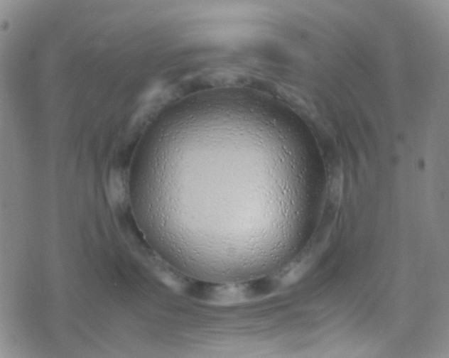 X0000070430335200606231924