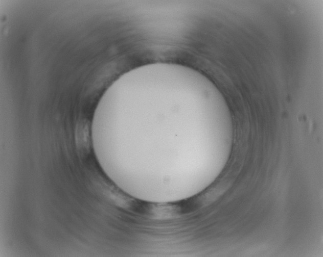 X0000070430336200606231924