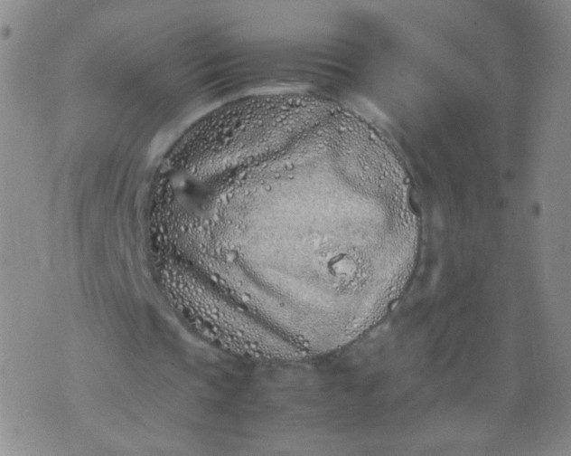 X0000070430337200606231923