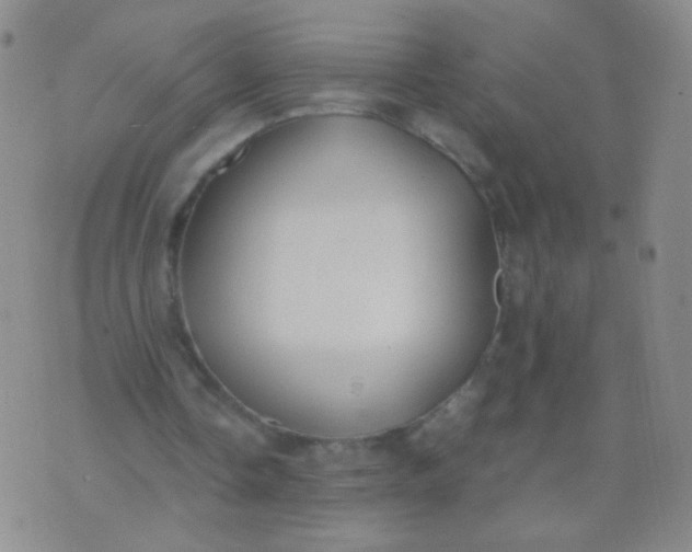 X0000070430338200606231923