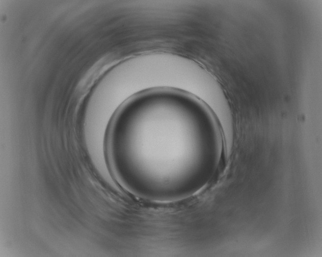 X0000070430339200606231923