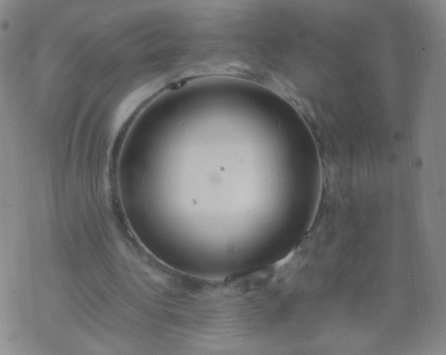 X0000070430340200606231923