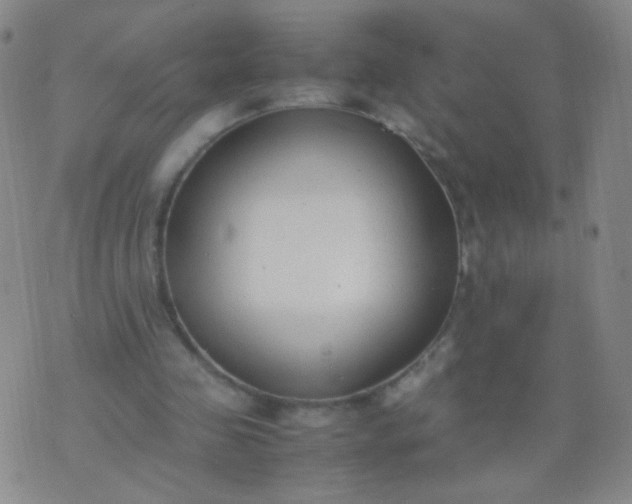 X0000070430341200606231923