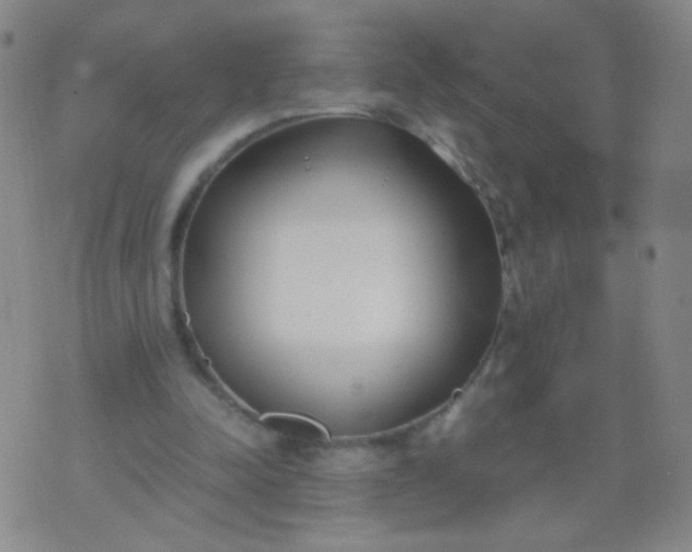 X0000070430342200606231923