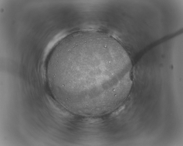 X0000070430343200606231923