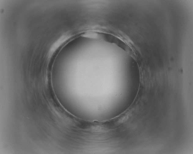 X0000070430344200606231923