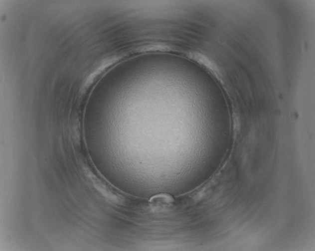 X0000070430345200606231923