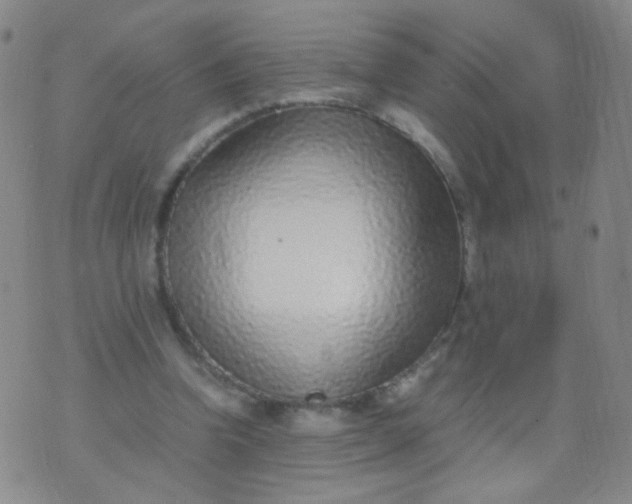 X0000070430346200606231923