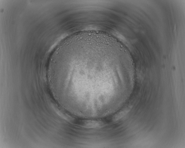 X0000070430347200606231923