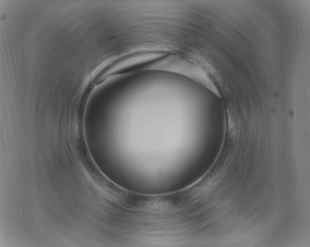 X0000070430348200606231923