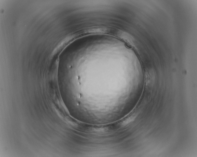 X0000070430349200606231923