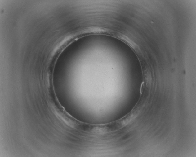 X0000070430350200606231923