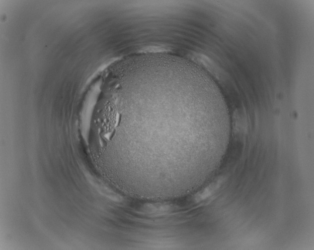 X0000070430351200606231923