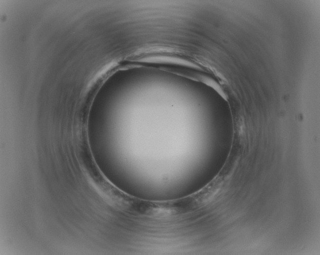 X0000070430352200606231924